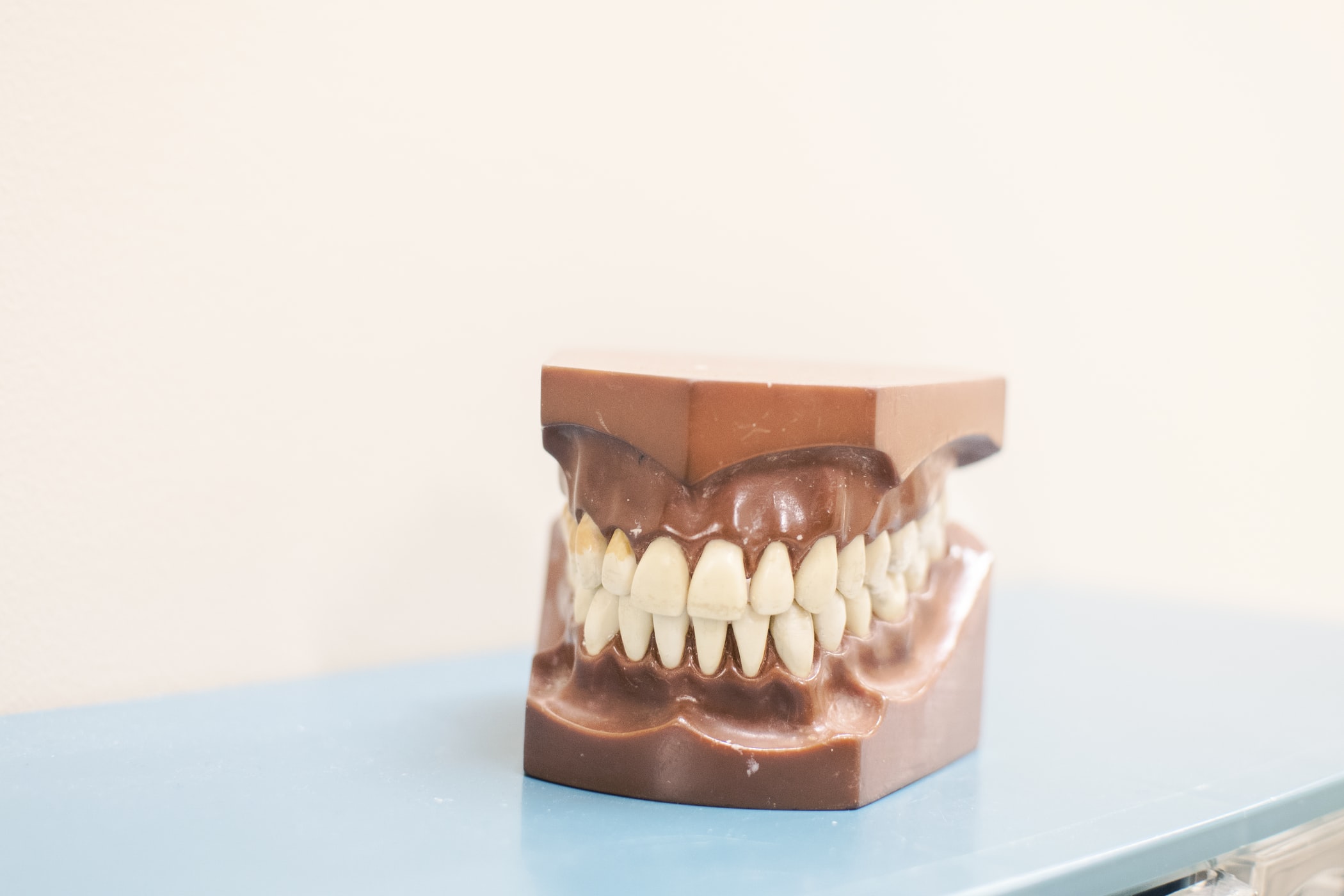 Dentures Mold 3D model